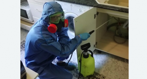 Уничтожение муравьев в квартире. Красноуральск