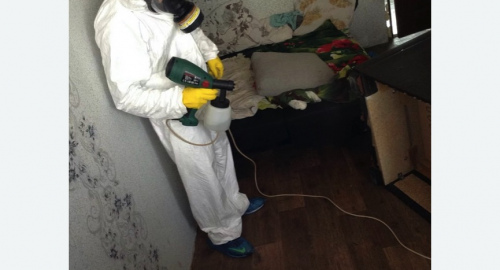 Обработка квартир от насекомых в Красноуральске