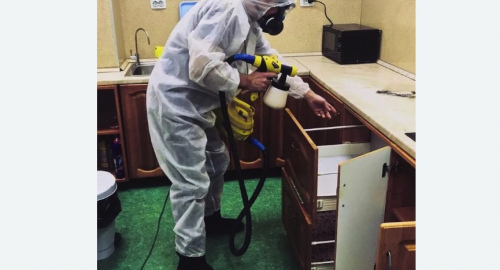 Дезинсекция квартиры. Красноуральск