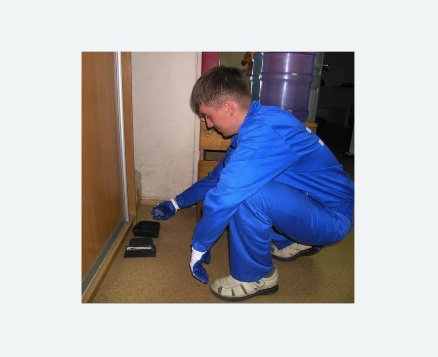 Дератизация крыс в Красноуральске