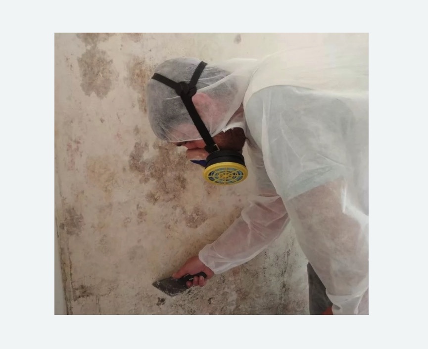 Обработка стен от плесени в Красноуральске