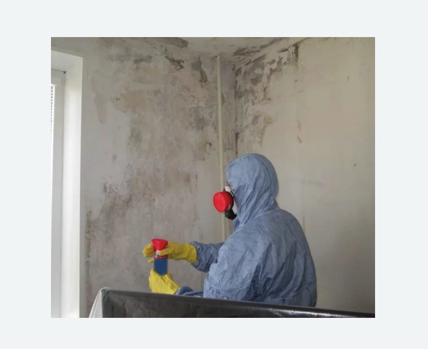 Удаление плесени в квартире в Красноуральске