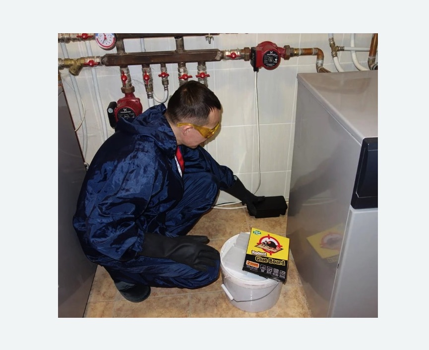 Уничтожение крыс в Красноуральске