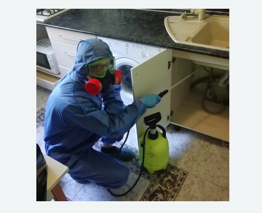 обработка от муравьев в квартире в Красноуральске