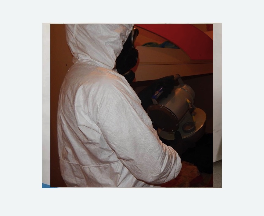 Дезинфекция от муравьев в Красноуральске