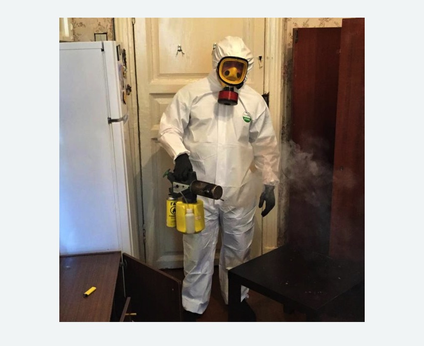 уничтожение муравьев в квартире в Красноуральске